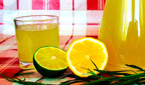 Тархун с лимоном и лаймом