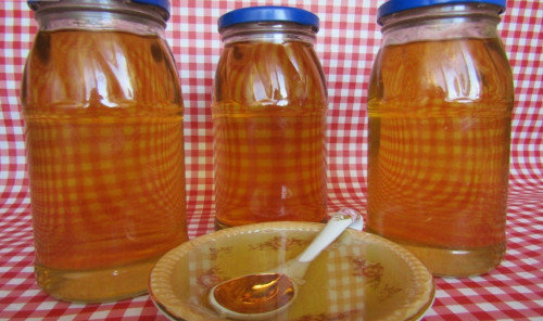 Варенье из одуванчиков (одуванчиковый мёд)