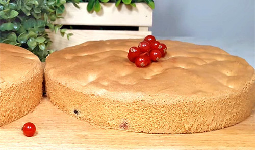 Заварной бисквит для торта