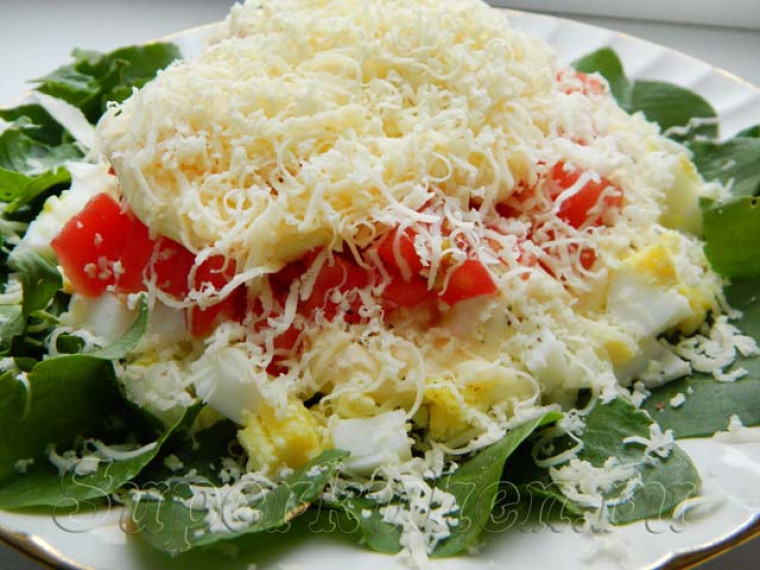 Салат со щавелем, помидорами и сыром